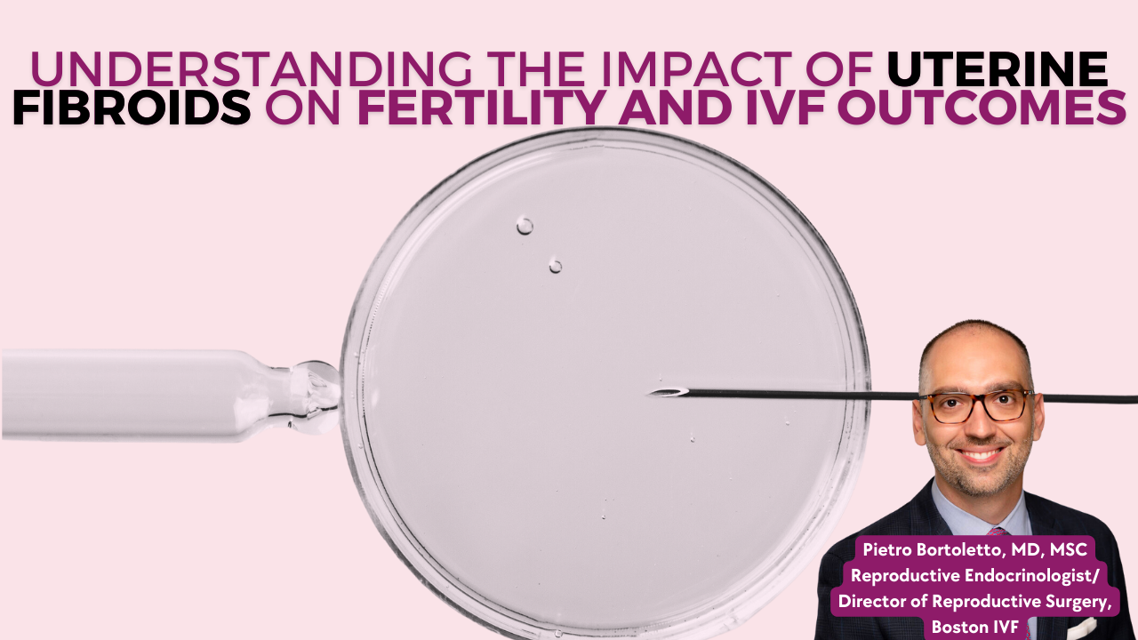 Understanding the Impact of Uterine Fibroids on Fertility and IVF Outcomes  - Fibroid Foundation